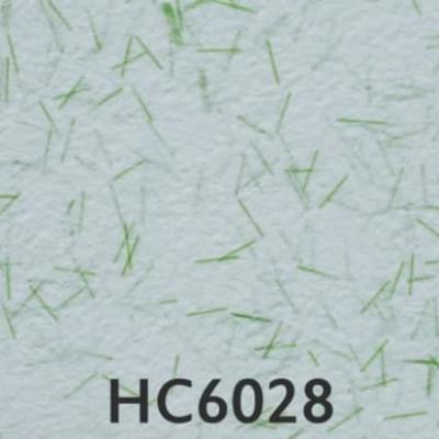 Hc6028
