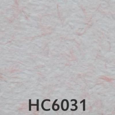 Hc6031
